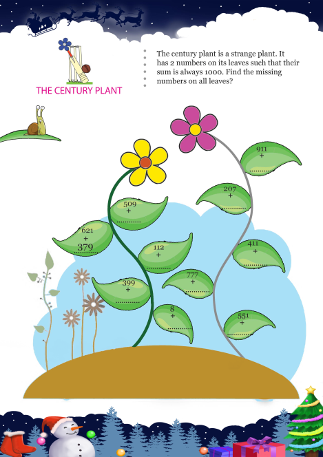 The Century Plant worksheet